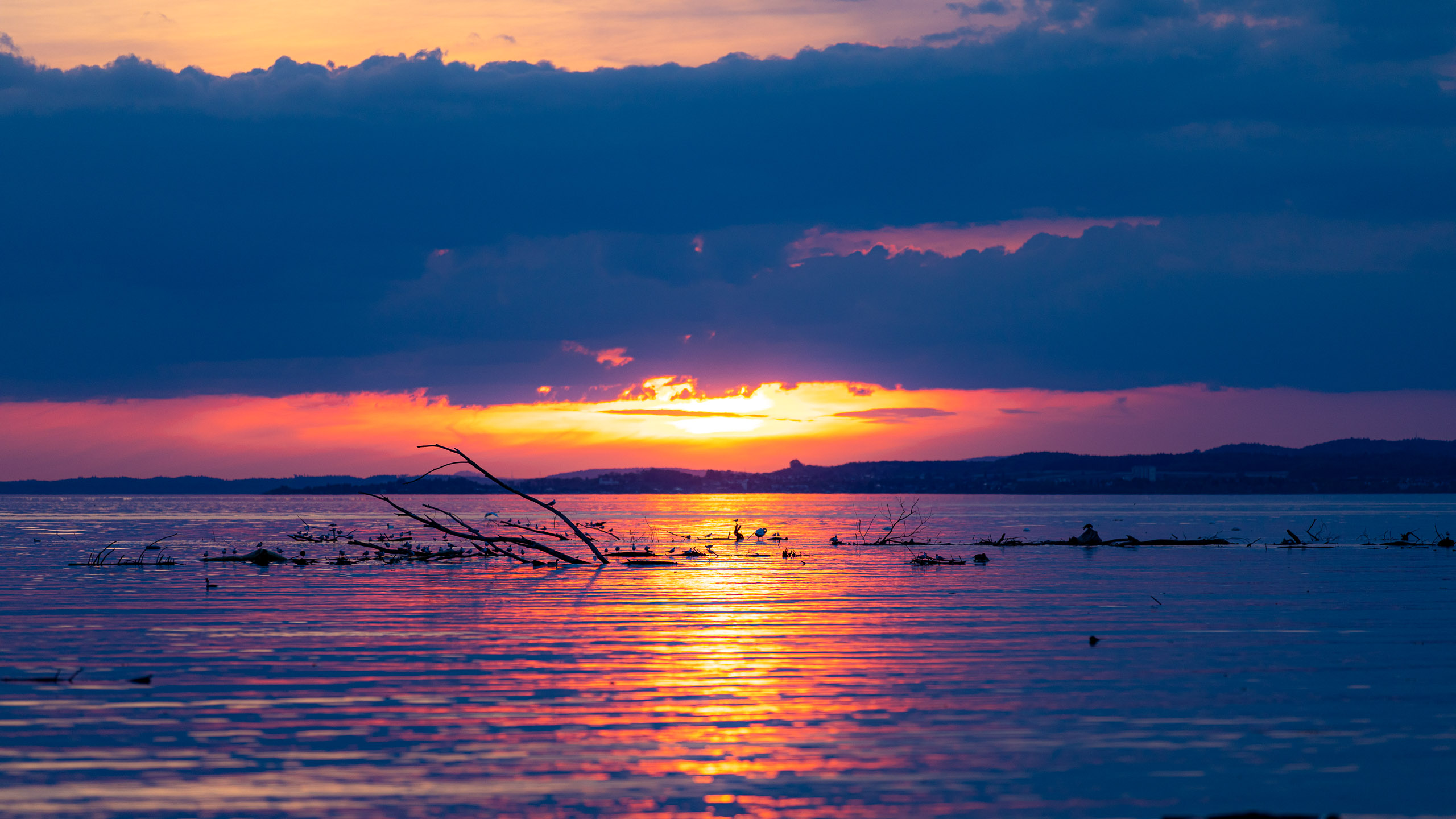 20230506203512 RD4 3952